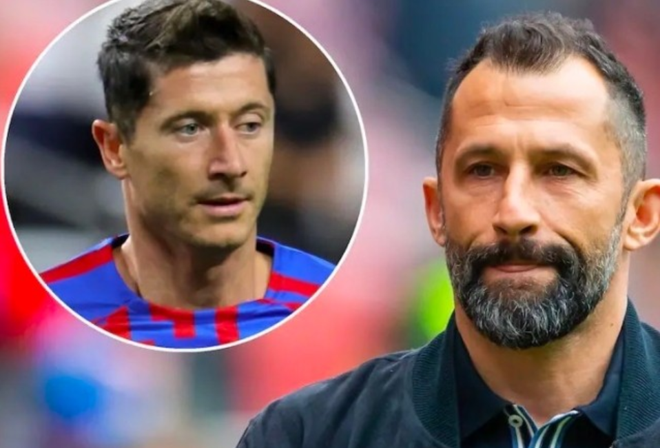 其惊艳的 其惊艳的